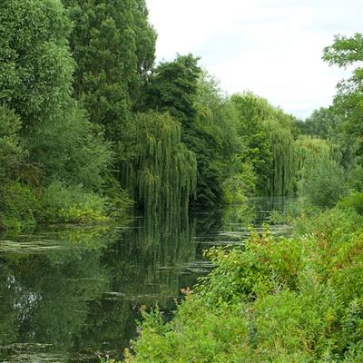 永乐国际下载手机版