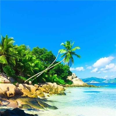 bob综合在线体育